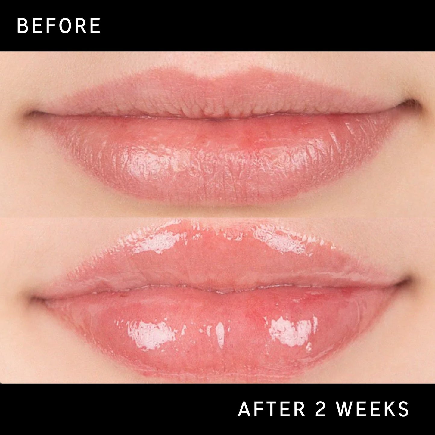 tripeptide-plumping-lip-balm-k5 DTC-Top15_Amends_Tripeptide-Lip_B_A.jpg