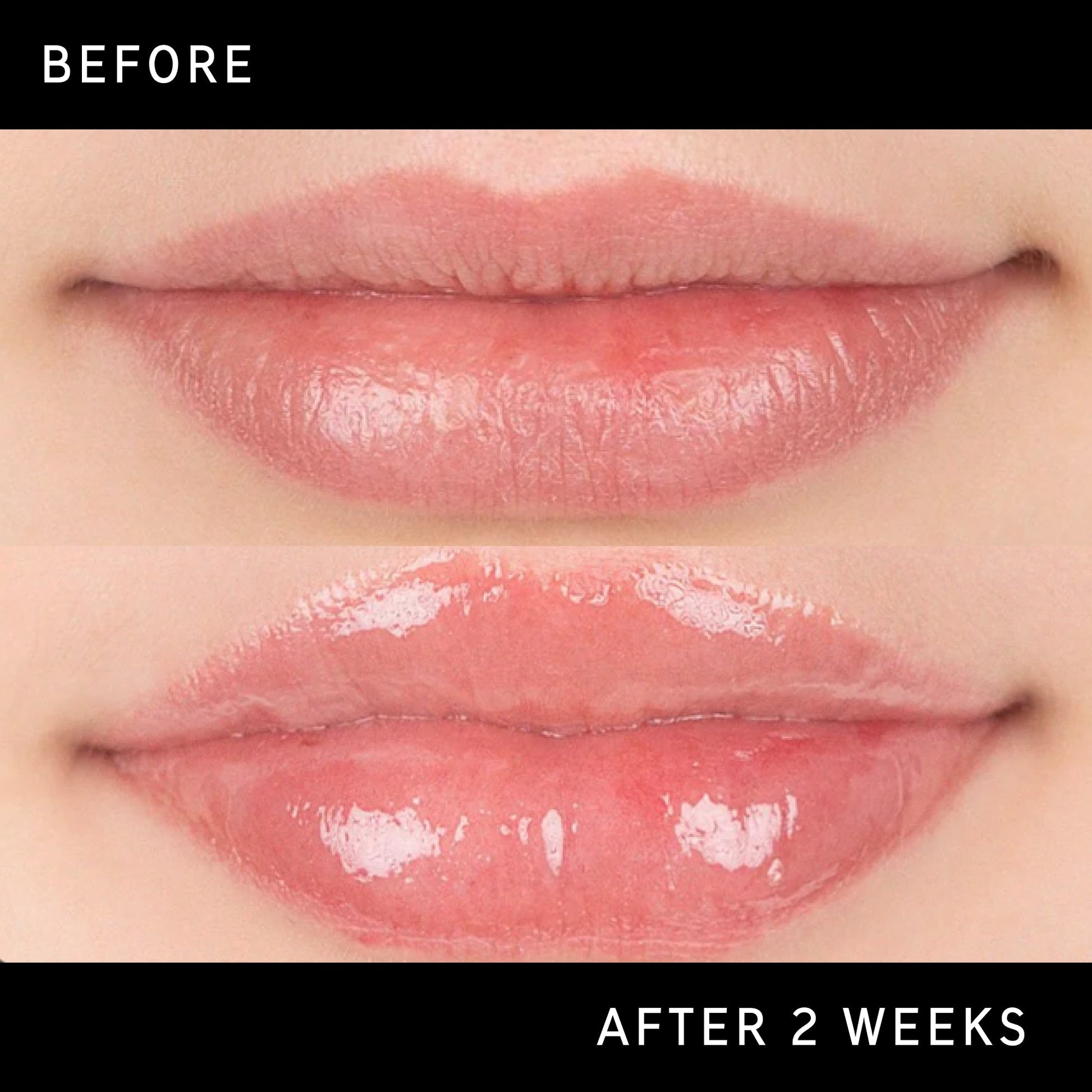 tripeptide-plumping-lip-balm-k5 DTC-Top15_Amends_Tripeptide-Lip_B_A.jpg